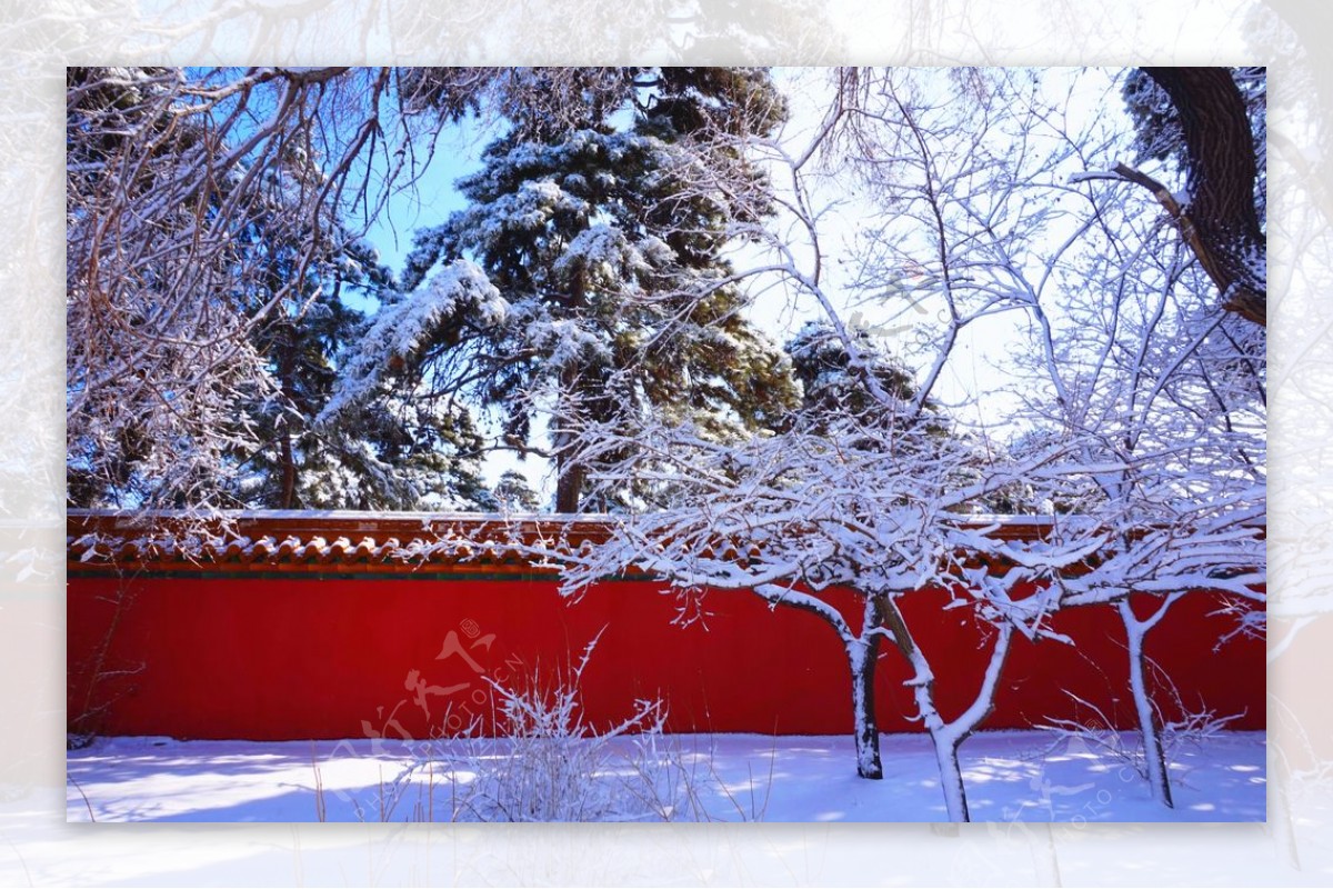 雪景图片