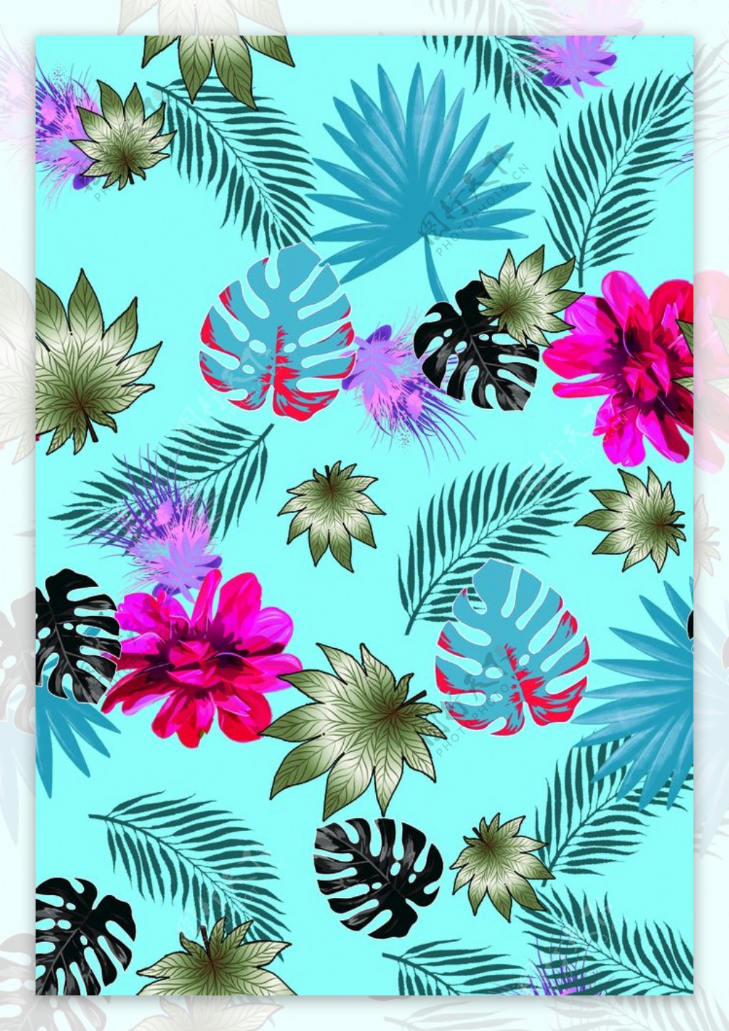 热带花卉图片