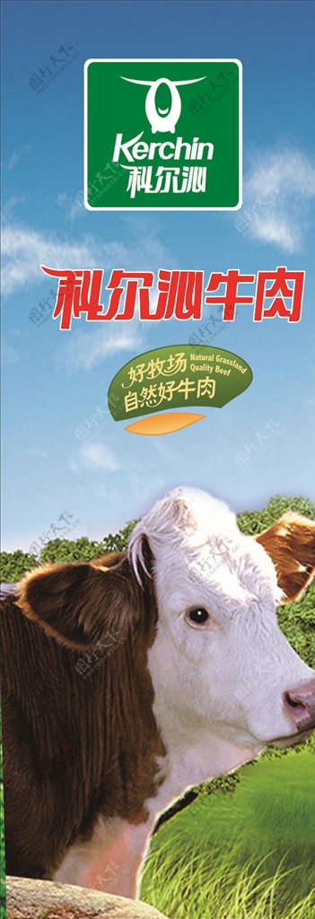 科尔泌牛肉海报图片