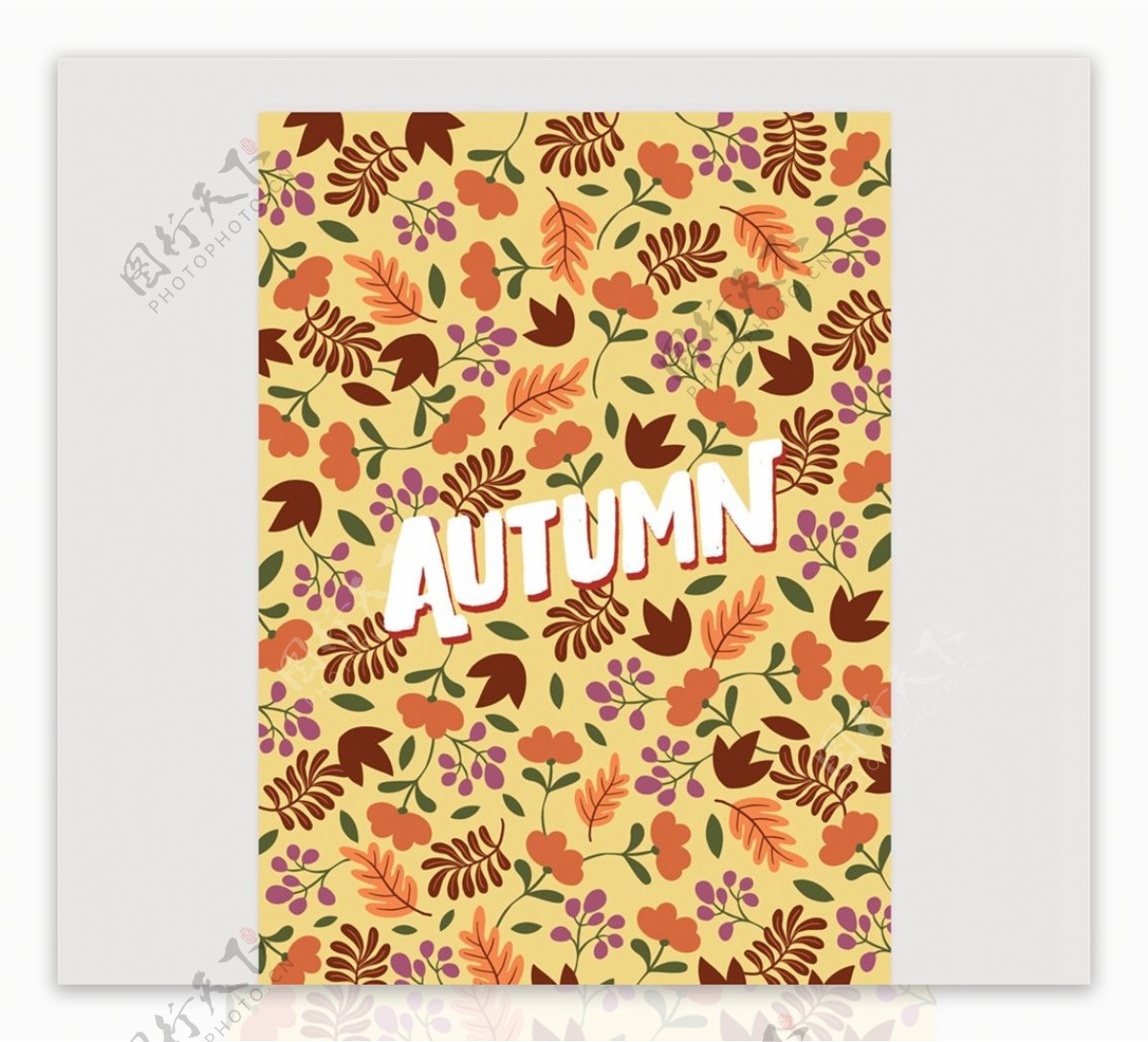 秋季树叶卡片图片