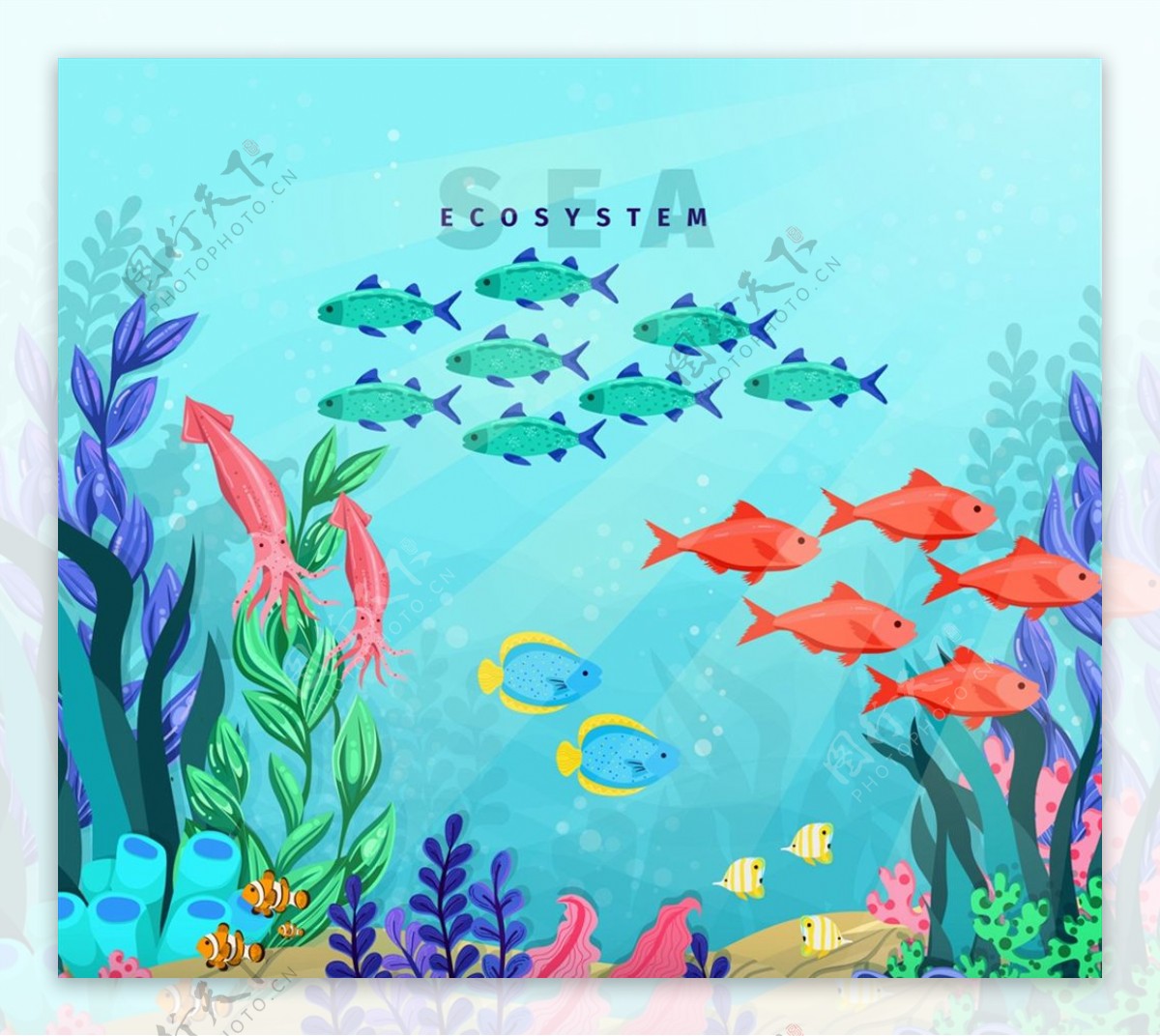 彩色海底鱼群风景图片