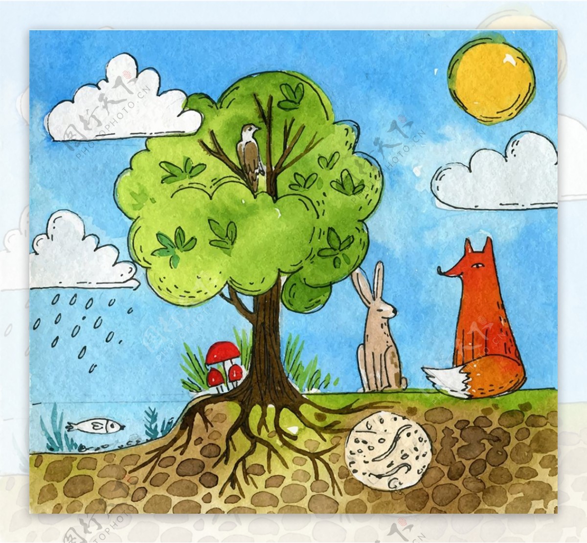 树木和森林动物插画图片