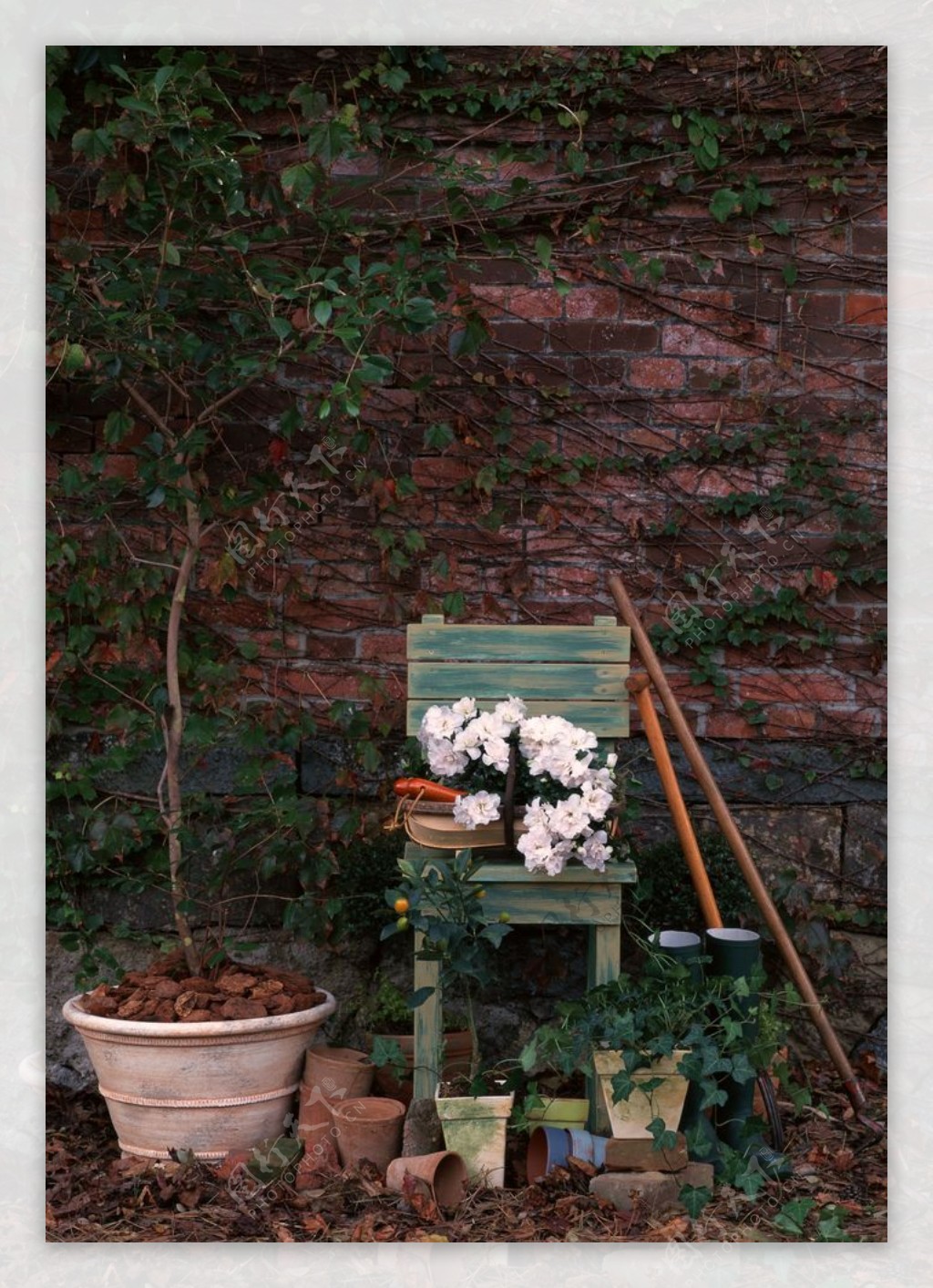 椅子上的盆栽鲜花图片