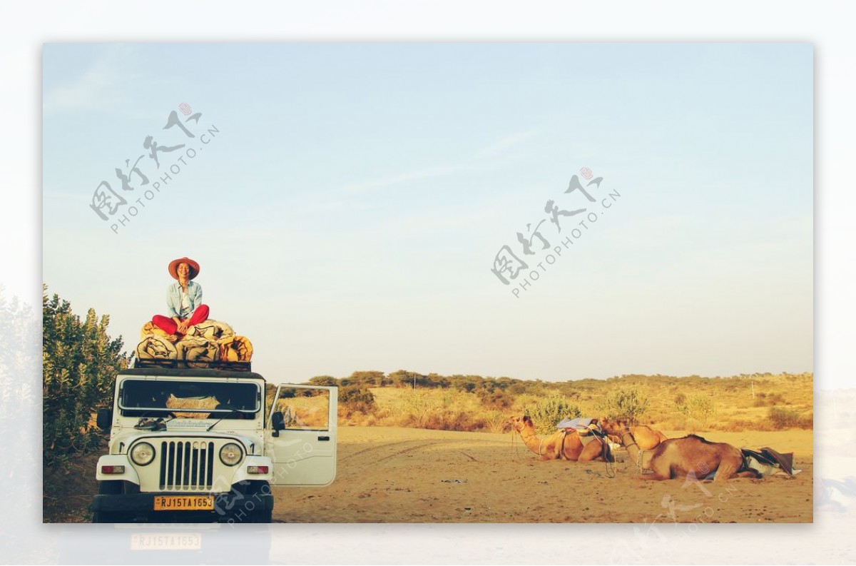 沙漠汽车图片