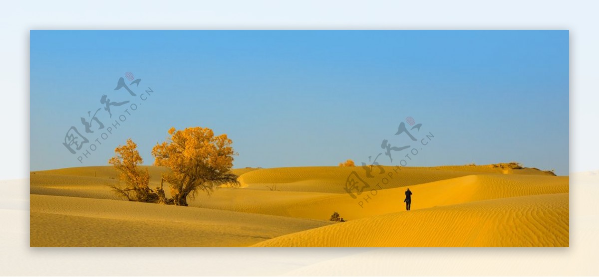 秋季山丘沙漠背景海报素材图片