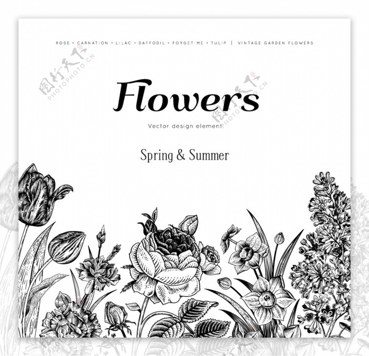 手绘花卉背景图片