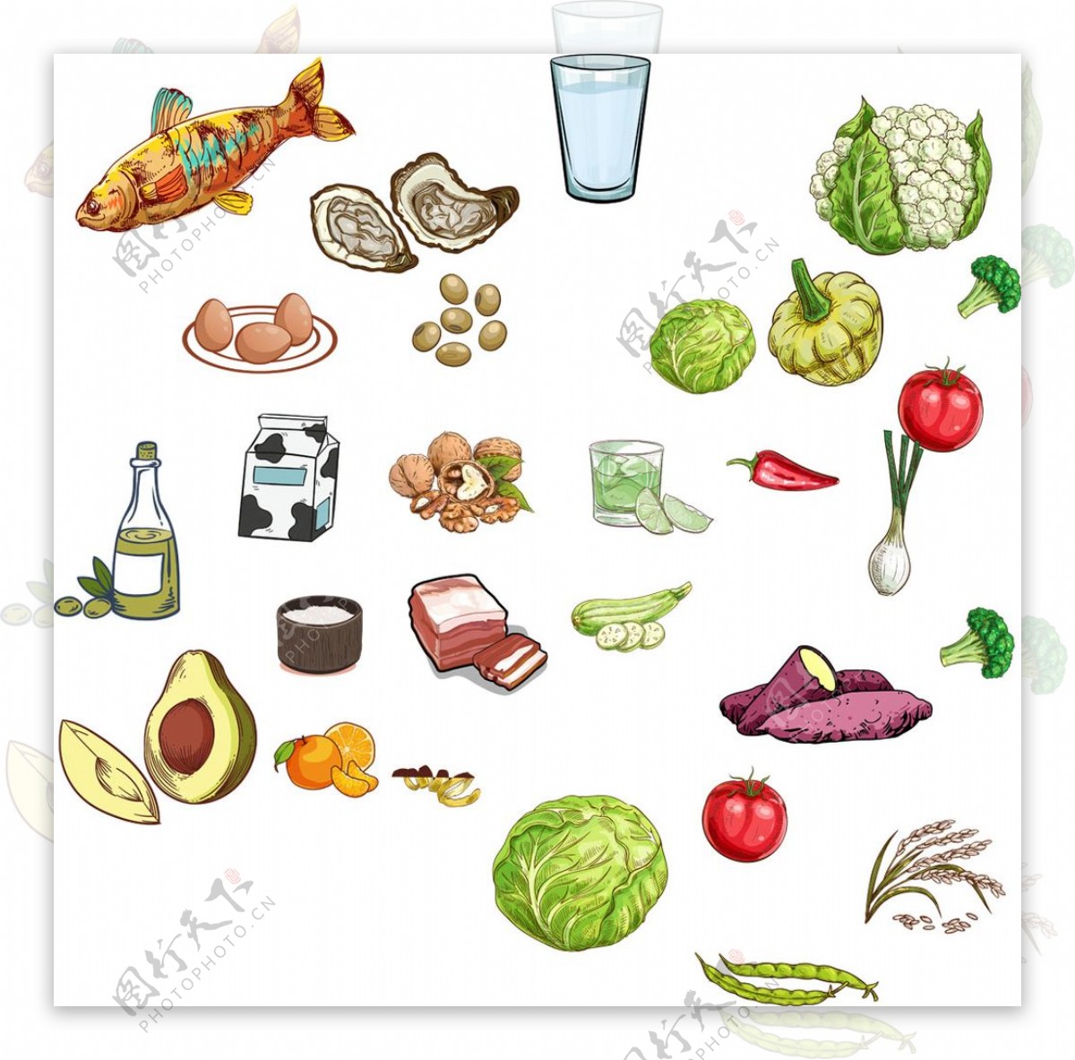 手绘蔬菜食物png素材图片