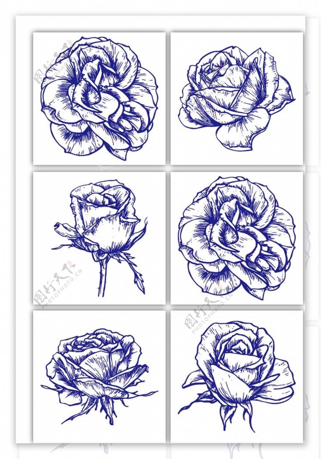 手绘花卉玫瑰图片