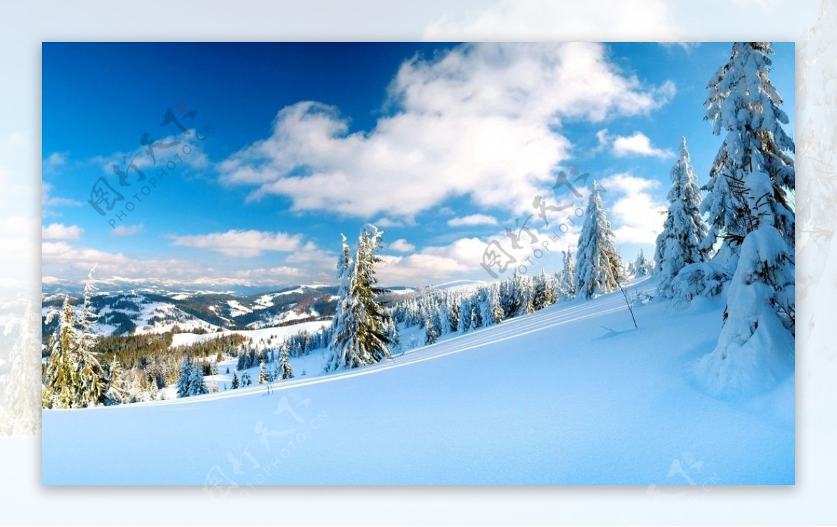 大雪无垠白色的冬天图片