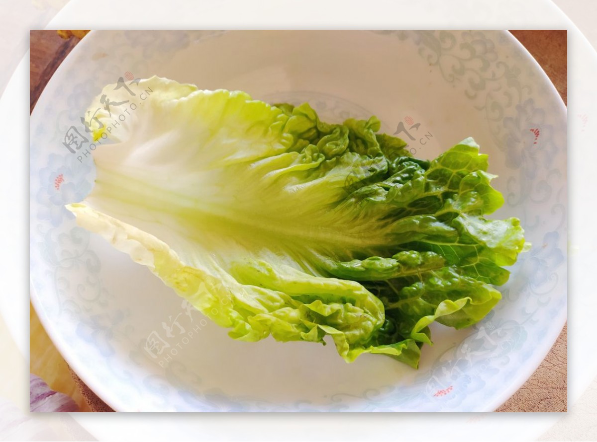 莴苣生菜图片