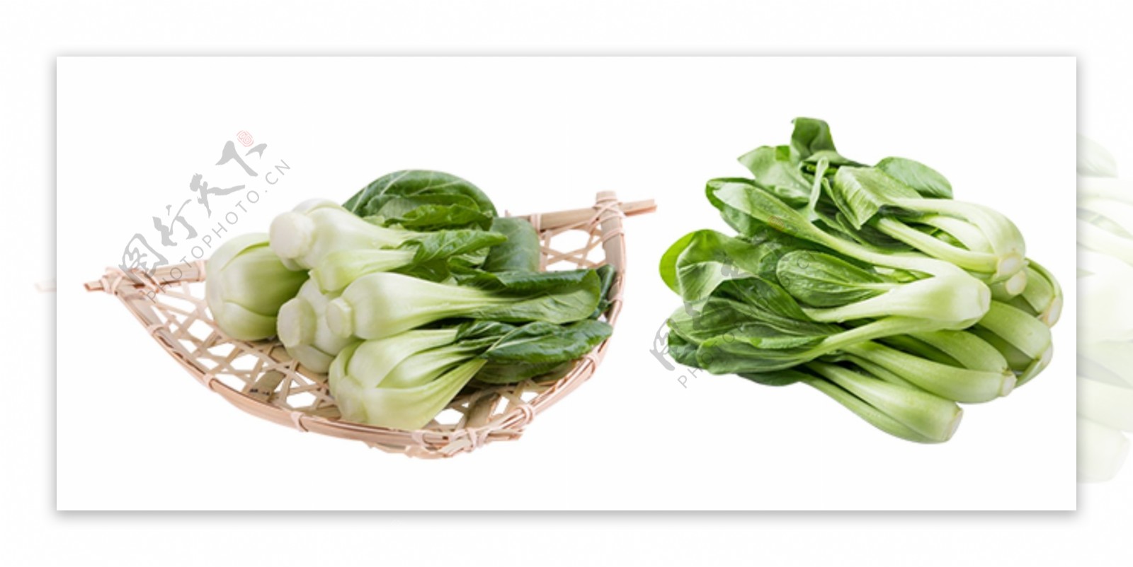 保存青菜有妙招，教你实用方法，青菜又绿又鲜，好吃美味|青菜|保鲜|密封袋_新浪新闻
