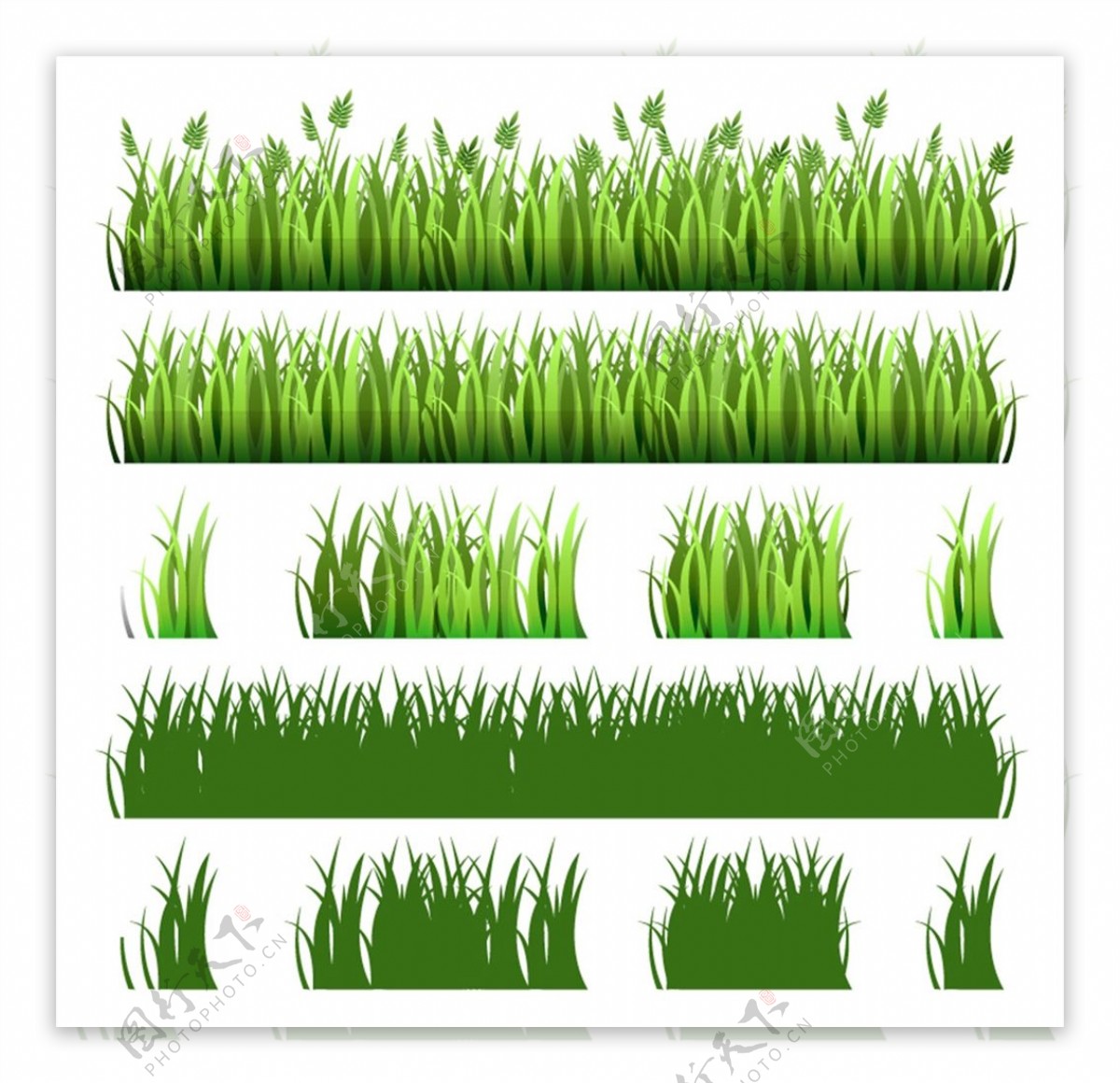 绿色草丛矢量图片