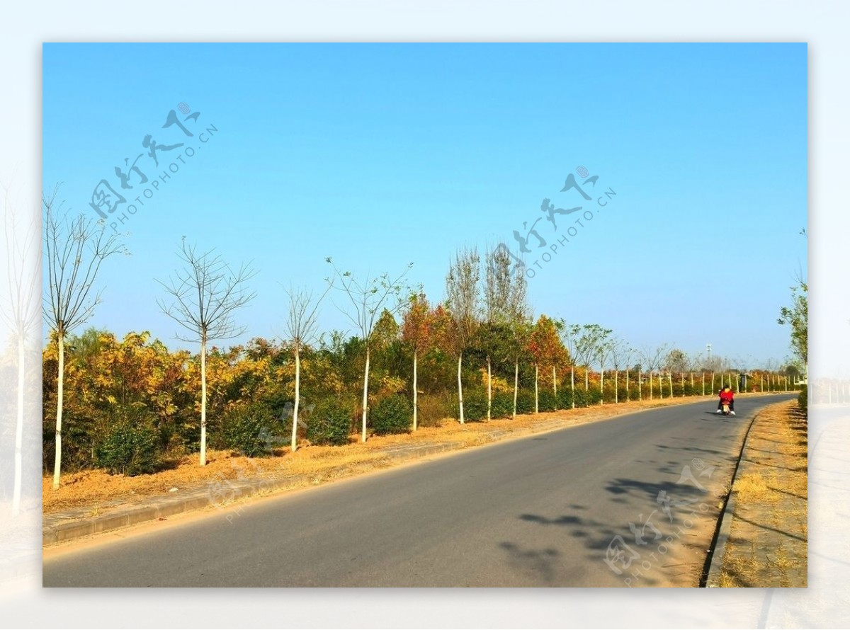 秋日里的乡村道路图片