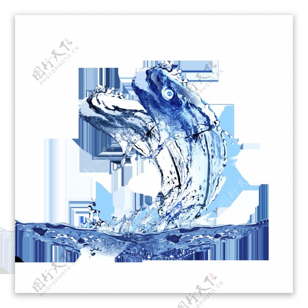 水滴鱼水珠装饰背景海报素材图片