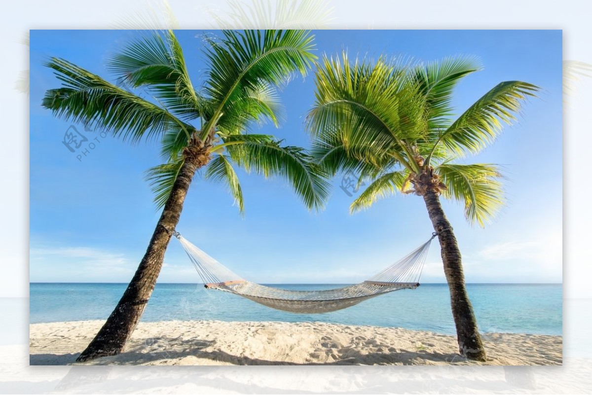 海边椰树风景图片素材-编号24064501-图行天下