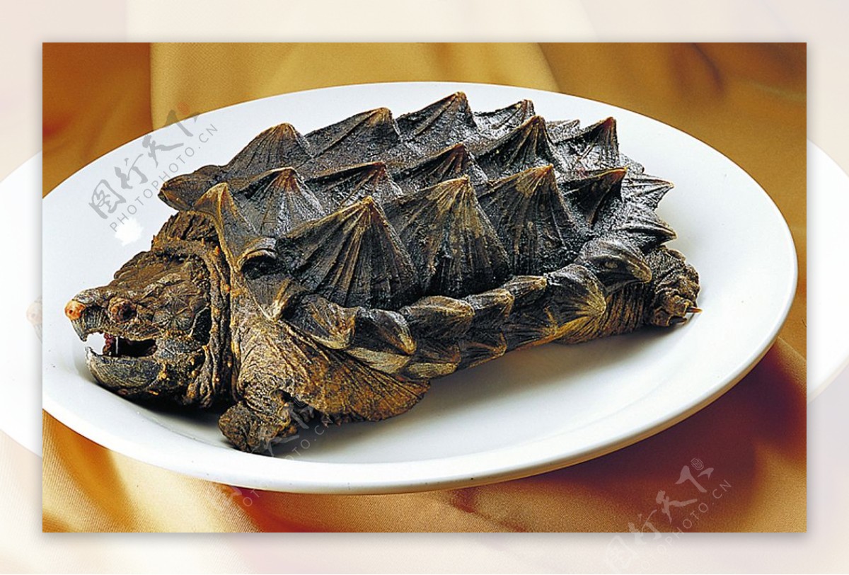 粤菜广东菜鳄鱼龟图片