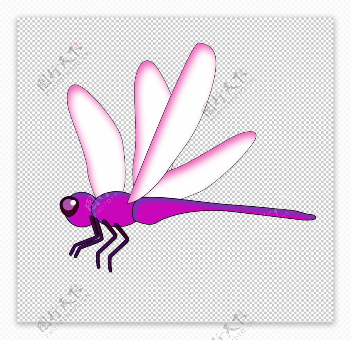 矢量手绘蜻蜓图片素材免费下载 - 觅知网
