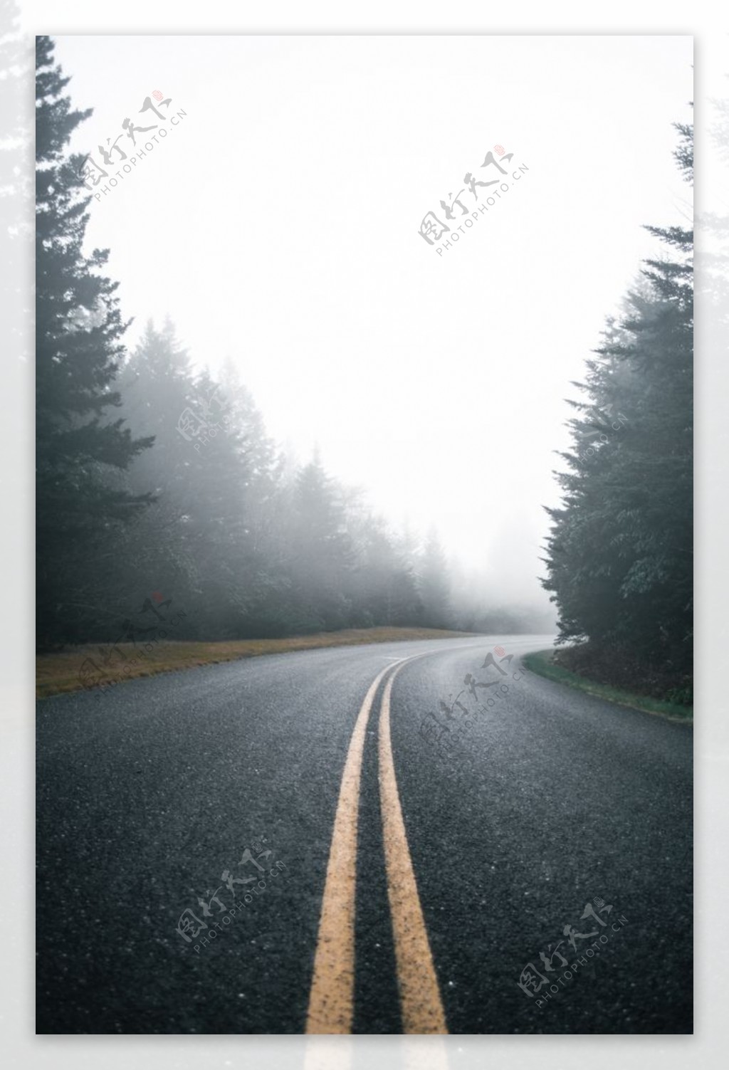 冬天雾公路背景图片