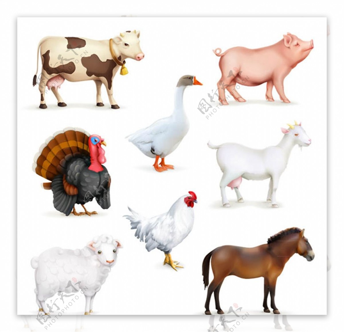 家畜与家禽矢量图片