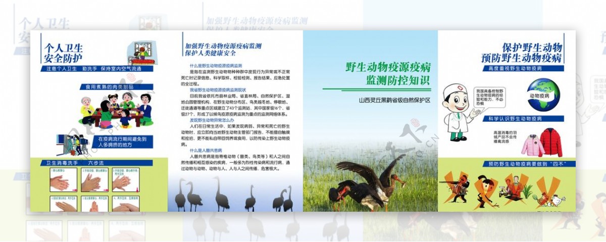 保护野生动物预防疫病防控知识保图片