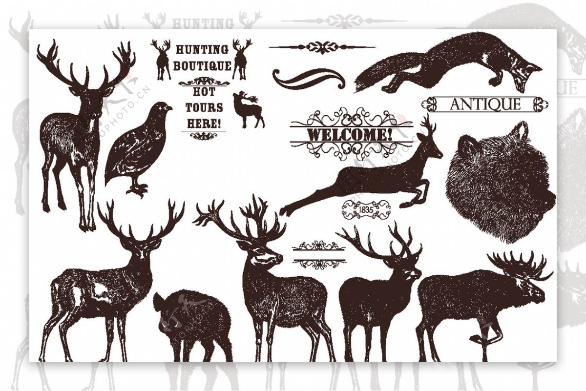手绘线描动物鹿野生小动物图片