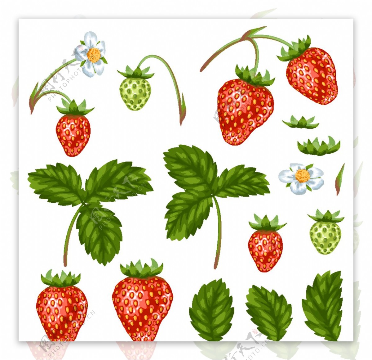 新手吸草莓印图片,新手吸草莓印,新手吸草莓_大山谷图库