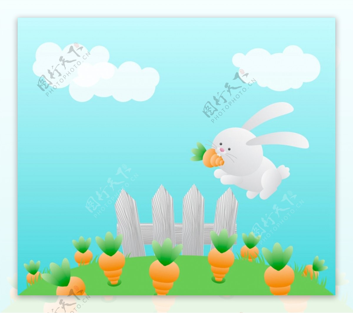 胡萝卜地里的白兔图片