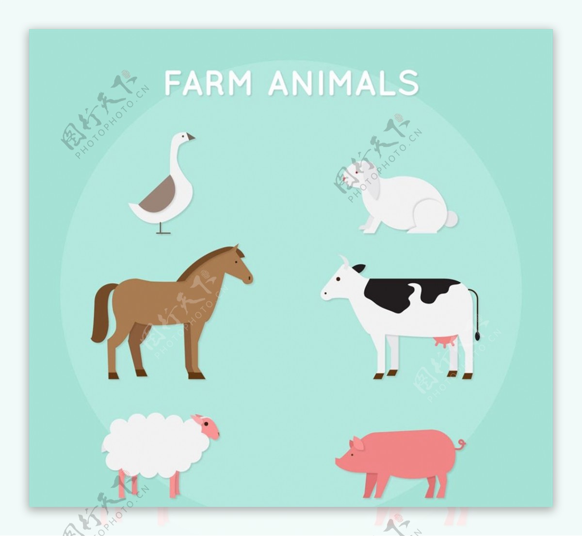 创意农场动物图片