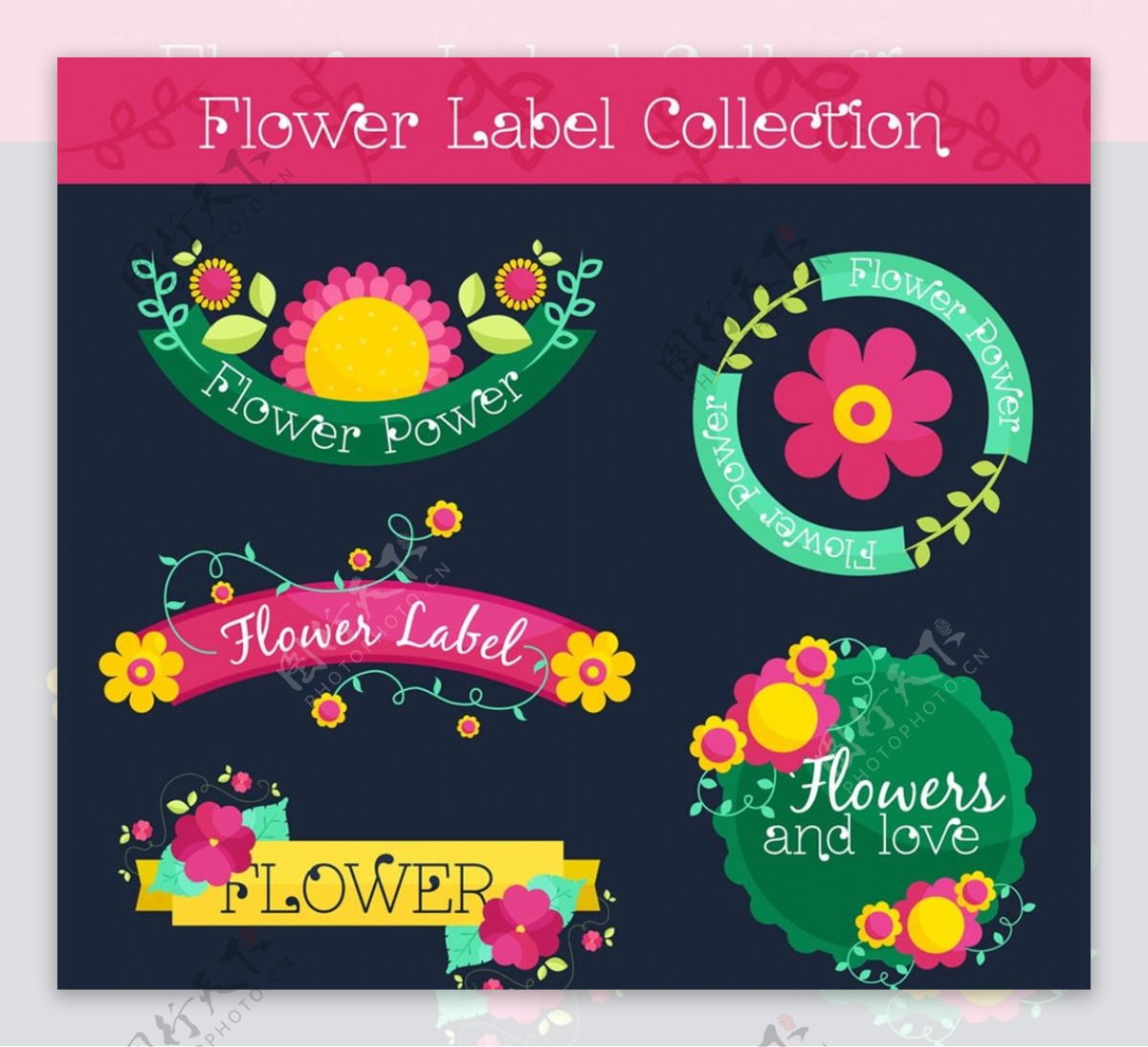 彩色花卉标签图片