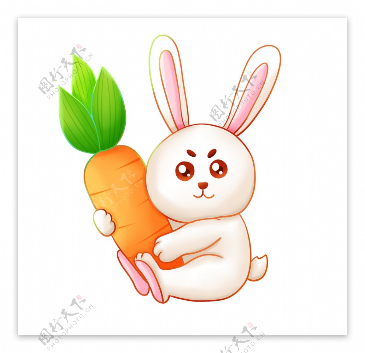 卡通兔子红萝卜图片