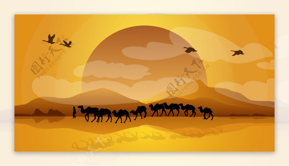 沙漠里夕阳下的骆驼队伍图片