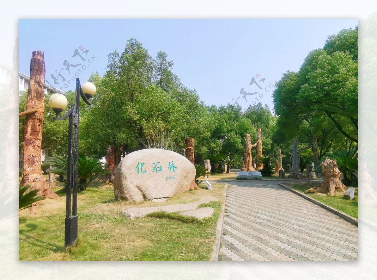 武汉地质大学石化林图片