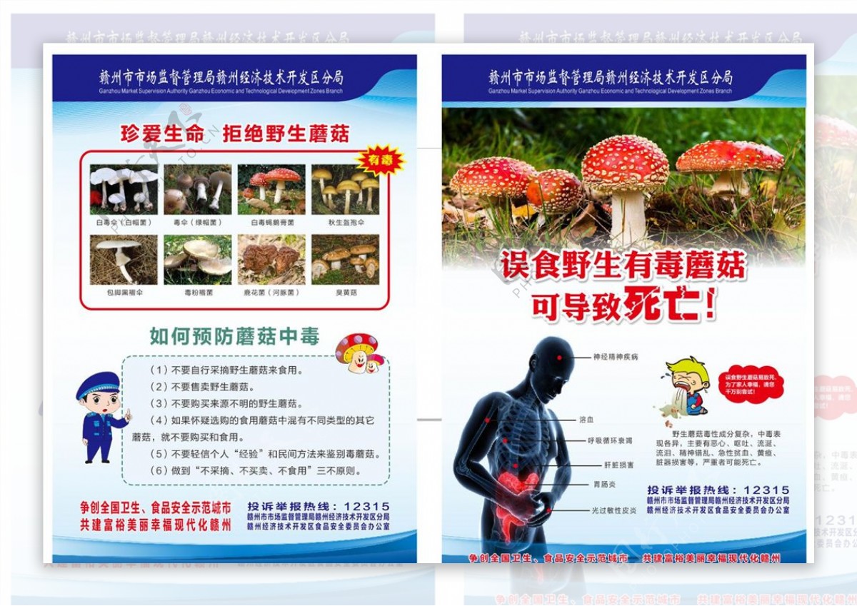 预防野生毒蘑菇图片