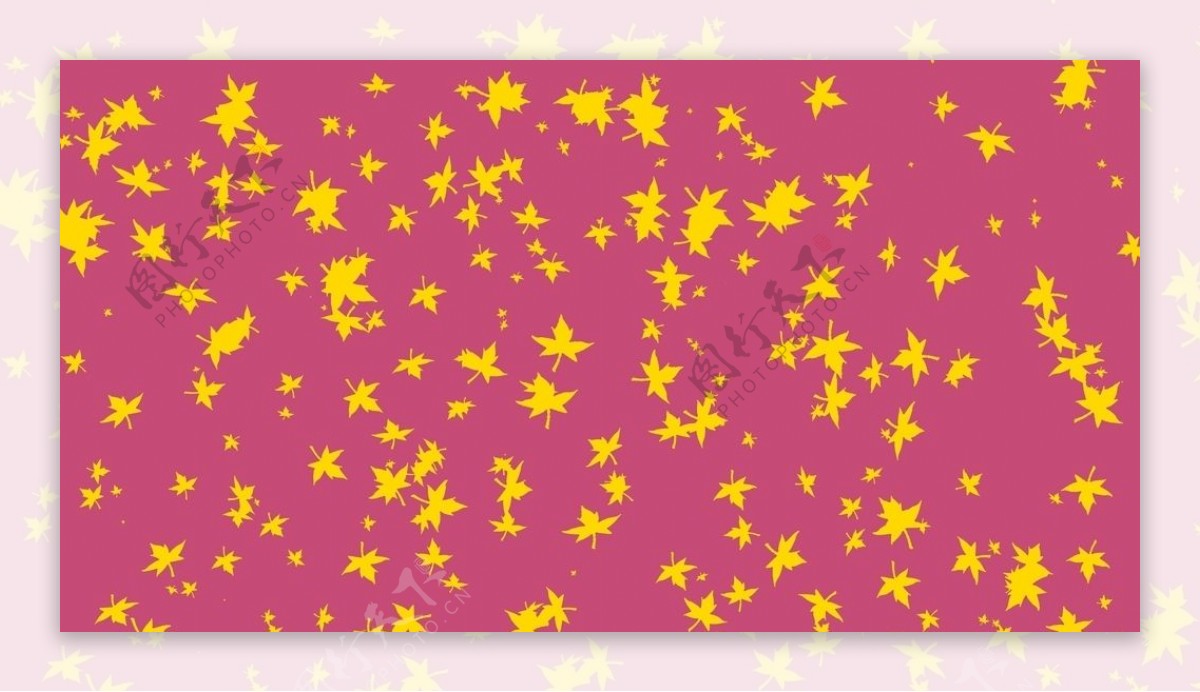 红底黄枫叶背景素材图片