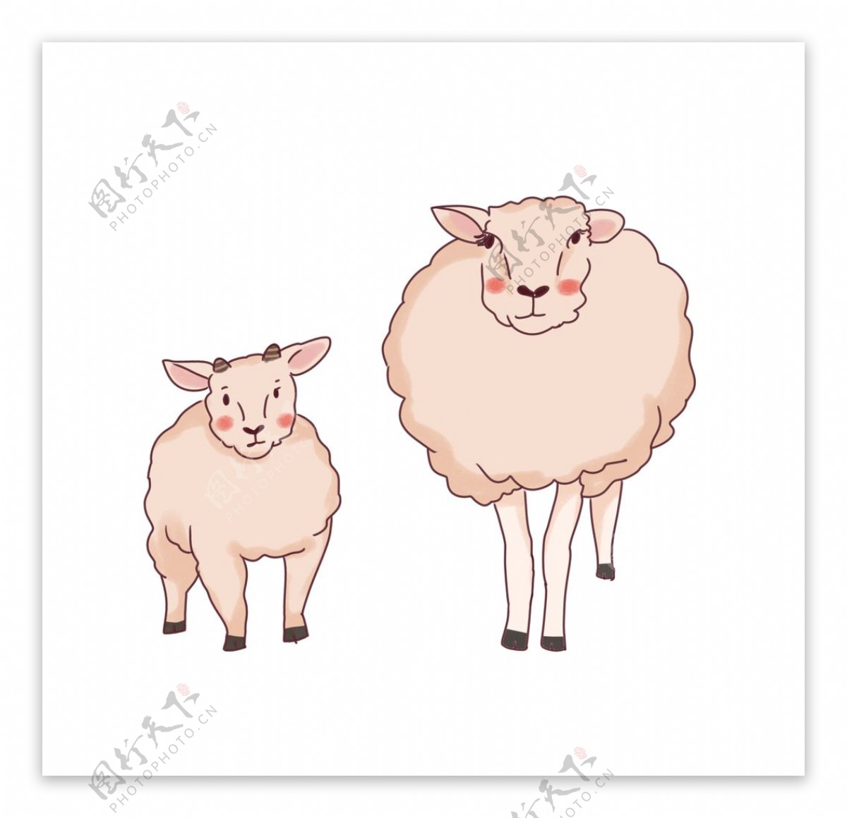 手绘绵羊母子插画图片
