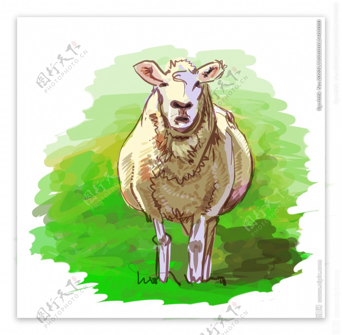 绵羊插画素材图片