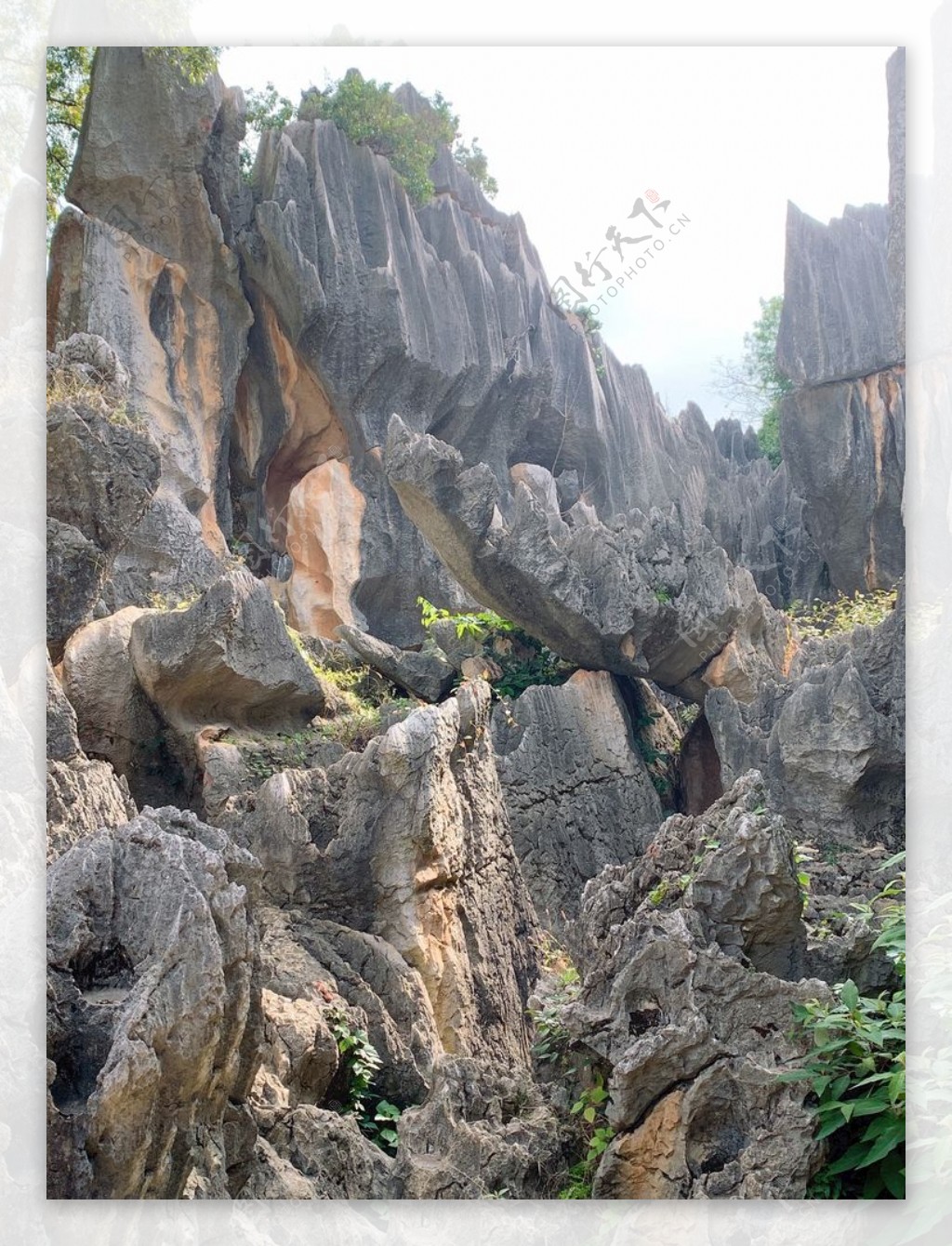 云南昆明石林岩溶风景图片