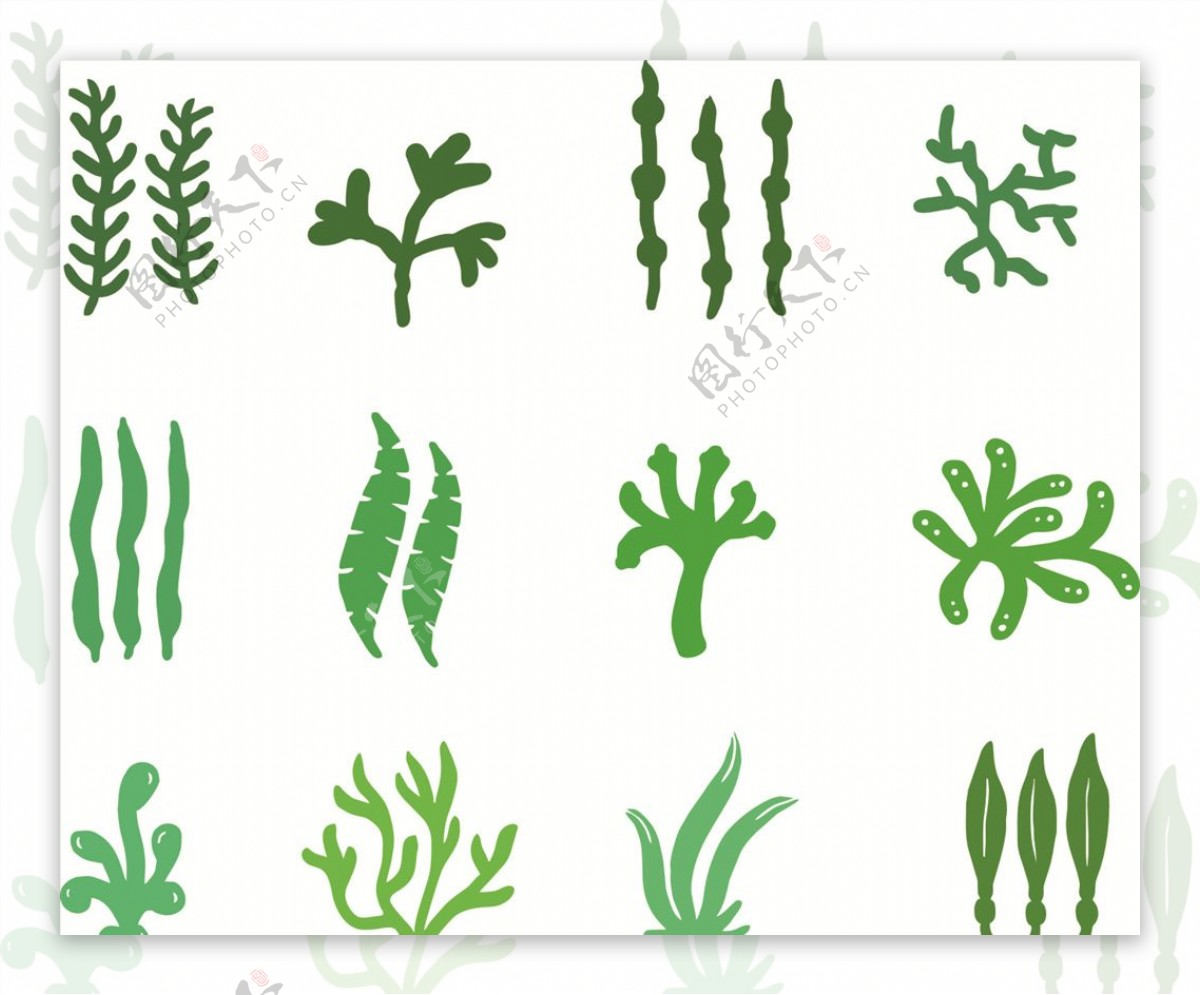 矢量简约绿色海洋珊瑚藻图片