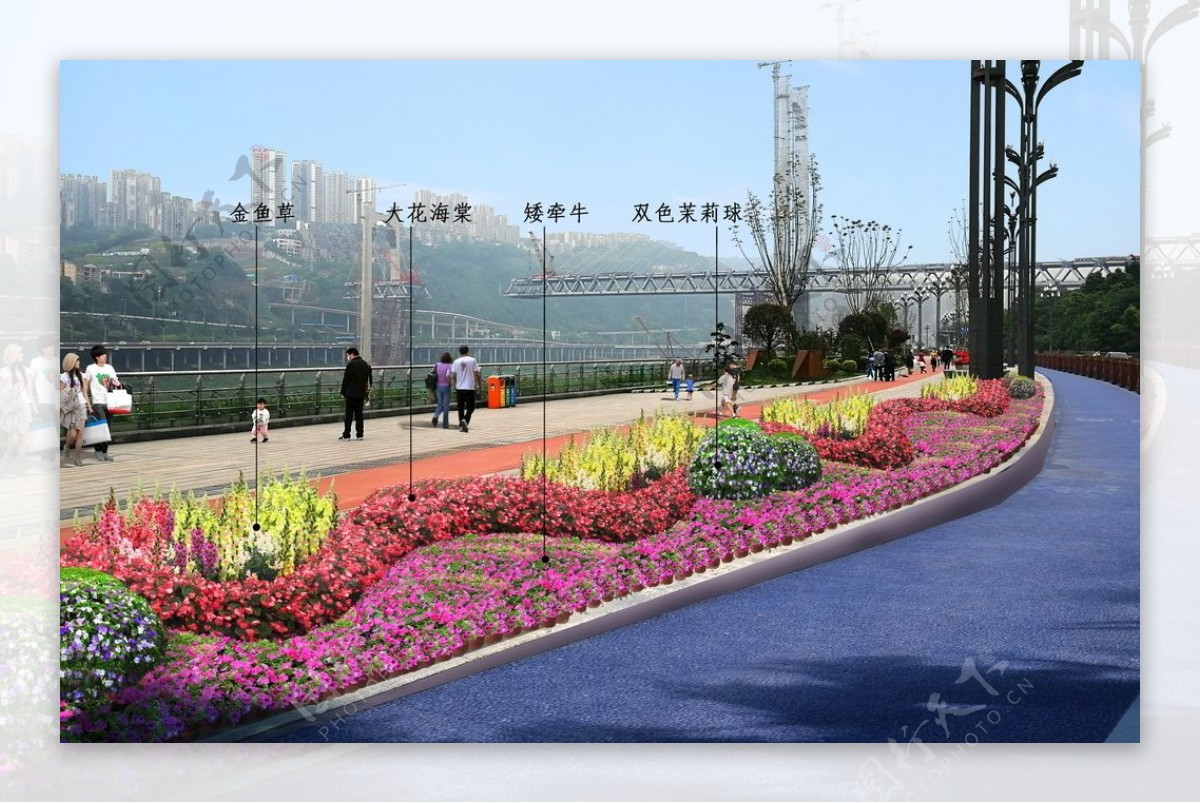 城市鲜花节点道路绿化盆栽图片
