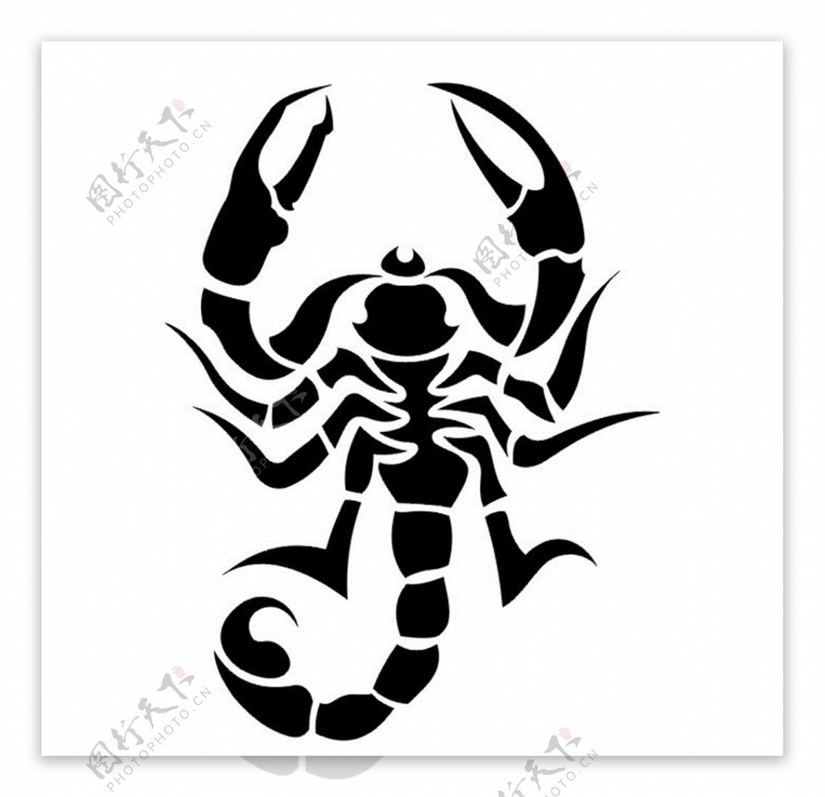 一只多彩风格的蝎子图案设计免抠PNG素材