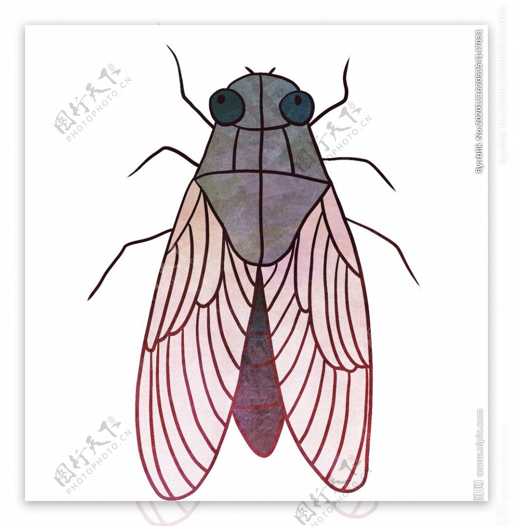 动物蝉的卡通插画图片素材-编号40257105-图行天下